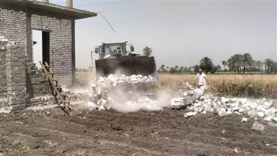  إزالة 67 حالة تعدٍ على الأراضي الزراعية خلال حملات مكثفة بالمنيا