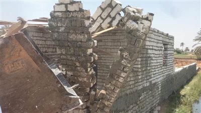 إزالة 39 حالة تعد على الأرض الزراعية خلال حملات مكثفة بمراكز المنيا