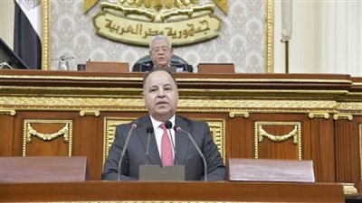 عاجل.. وزير المالية للنواب: الأزمات العالمية تزيد الأعباء على الموازنة العامة والمواطنين