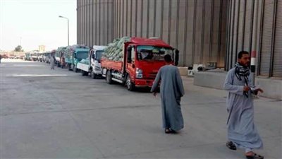 توريد 12213 طنًا من محصول القمح بالشون والصوامع الحكومية بـ