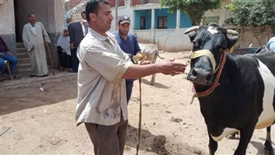 فحص وعلاج وترقيم وتسجيل 2111 رأس ماشية وأغنام وتنظيم 222 ندوة  