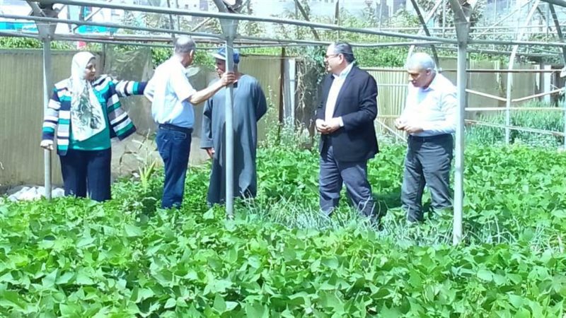 د. عادل عبدالعظيم