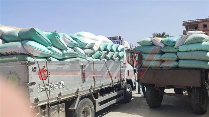 توريد القمح