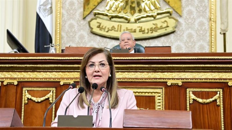 د. هالة السعيد وزيرة