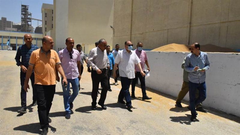 جانب من توريد القمح