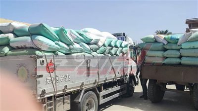 توريد 23 ألف طن قمح لشون وصوامع كفر الشيخ