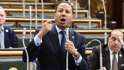 النائب حسن عمار: وضع سيناء على خريطة التنمية الشاملة أولوية للقيادة السياسية