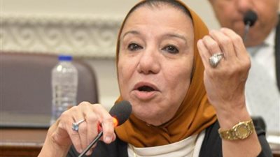 النائبة حياة خطاب: الرئيس السيسي حقق نهضة وتعميرًا بسيناء والقضاء على الإرهاب معا