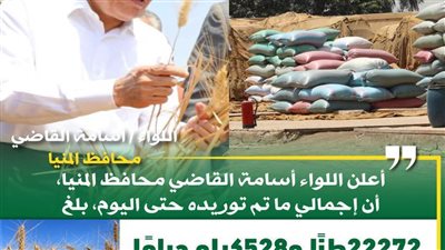 توريد 22 ألف طن من محصول القمح بالشون والصوامع الحكومية بمراكز المنيا