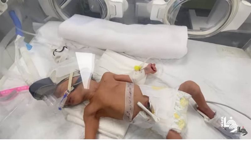 صابرين الروح