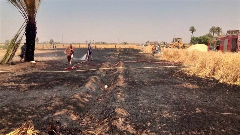 حريق قمح أرشيفية