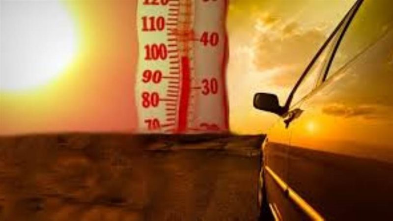 صورة أرشيفية روزا