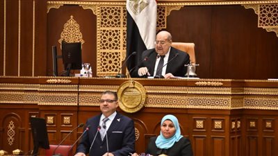 برلماني بالقليوبية عن ذكرى تحرير سيناء: بطولات سطرها شهداؤنا وتنمية وإعمار بإرادة المصريين