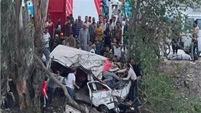 مصرع وإصابة 9 في حادث إنقلاب ميكروباص في ترعة بالدقهلية