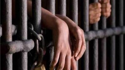 القليوبية.. المشدد 10 سنوات لمهندس المتهم بقتل شخص في العبور