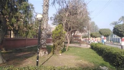 حدائق المنوفية تستعد لاحتفال ”شم النسيم“.. (صور) 