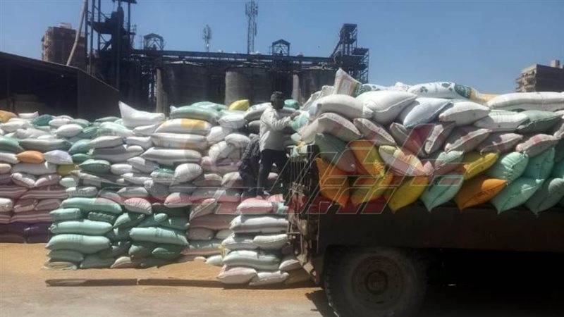 توريد القمح