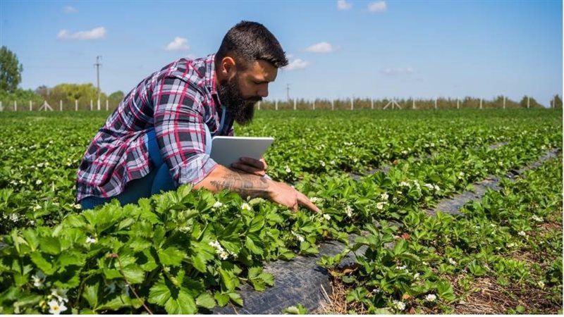 جانب من الجولة التفقدية