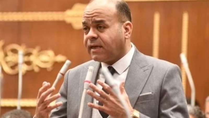 النائب عمرو القطامي