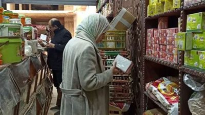 التقرير السادس عشر للهيئة القومية لسلامة الغذاء في 2024