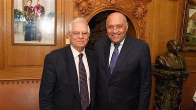 عاجل..شكري وبوريل يؤكدان على موقفهما الرافض لشن إسرائيل عملية عسكرية في رفح