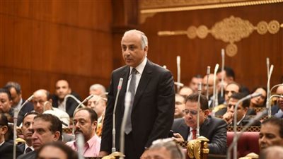 خلال مناقشة الجودة.. عضو بالشيوخ: التعليم في مصر لا يزال بخير