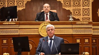 وزير التعليم العالي بمجلس الشيوخ: نسعى لجودة فعلية للجامعات المصرية