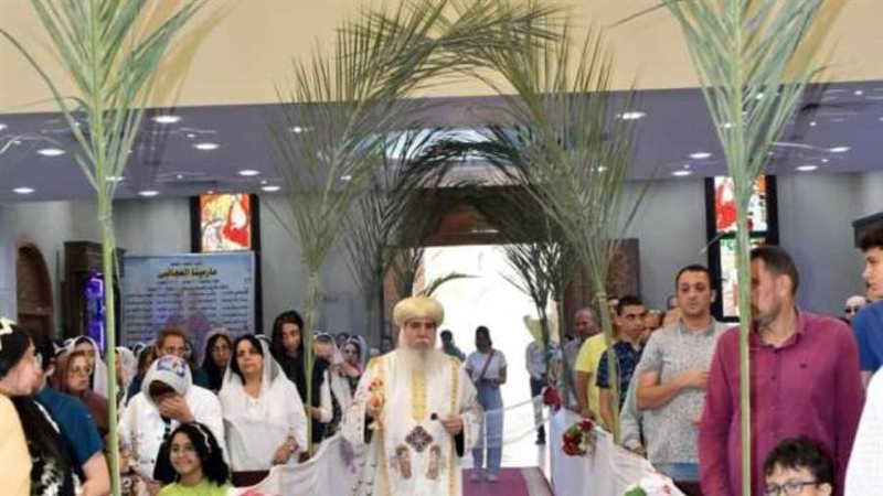 أحد الشعانين بكنائس