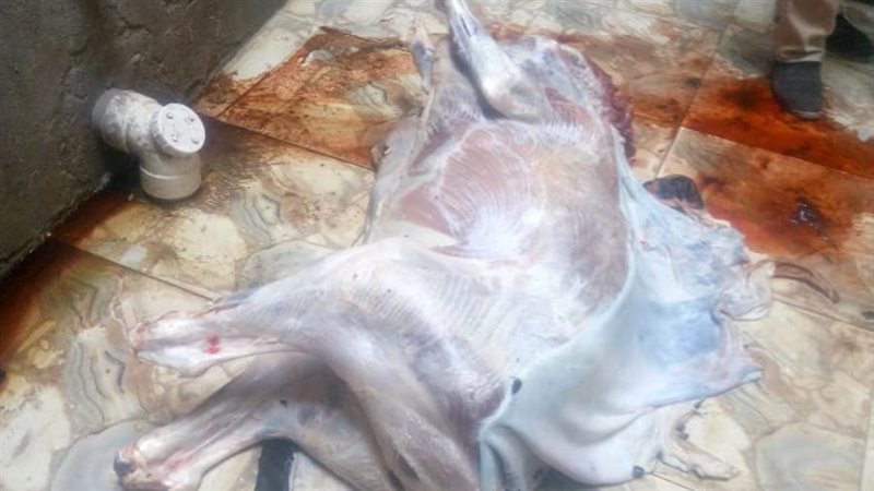 صورة من المضبوطات