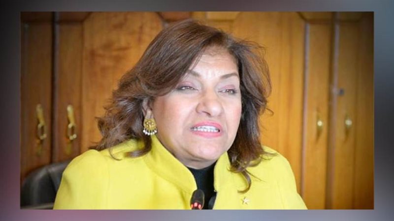 النائبة إيفلين متي