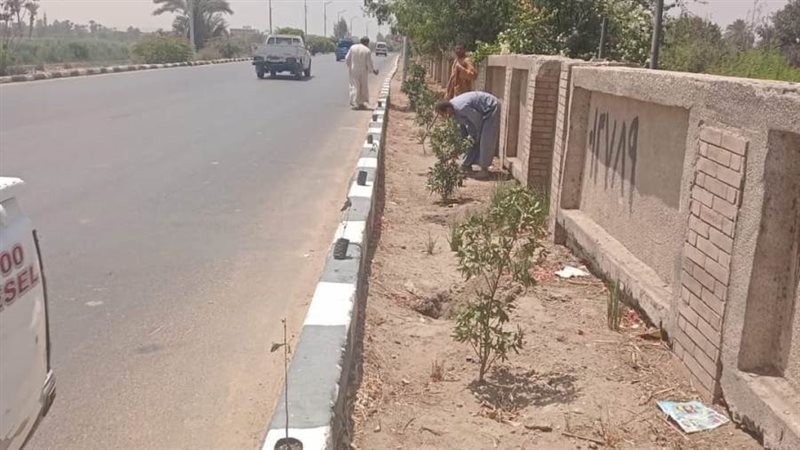 زراعة أشجار مثمرة