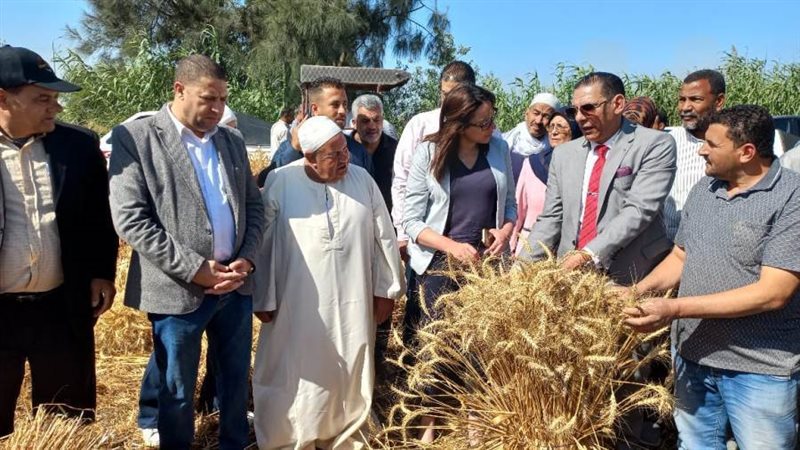 نائب محافظ البحيرة