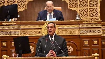 عاجل.. وزير التنمية المحلية للنواب: حرمان 88 ألف مخالف من الدعم التمويني وعزل 70 قياديًا من وظائفهم