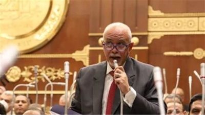 النائب حازم الجندي يطالب بمنح حوافز لتشجيع التوسع في التصنيع الزراعي