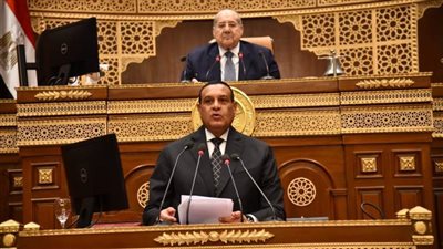 هشام آمنة : تمويل ٢١١ ألف مشروع بتكلفة ٢٨.٣ مليار جنيه