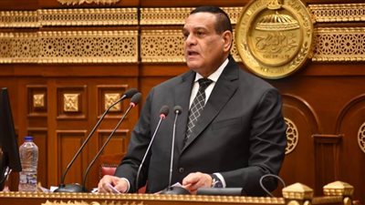 وزير التنمية المحلية يستعرض جهود توفير البنية التحتية للمناطق الصناعية وتطوير المجمعات الحرفية  