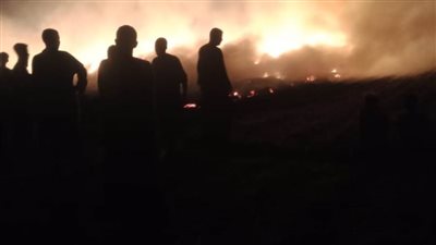 عاجل.. حريق يلتهم 4 أفدنة قمح بقرية كوم أسفحت في أسيوط
