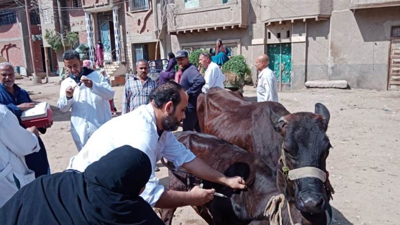 تحصين الثروة الحيوانية