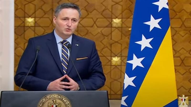 دينيس بيتشيروفيتش