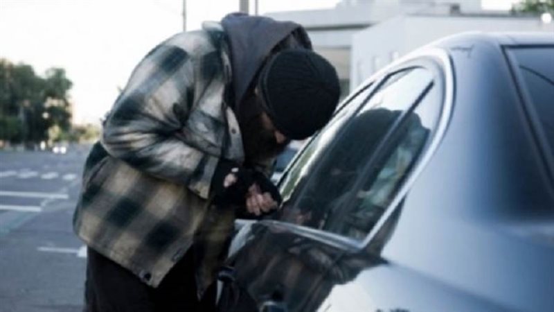 صورة أرشيفية روزا