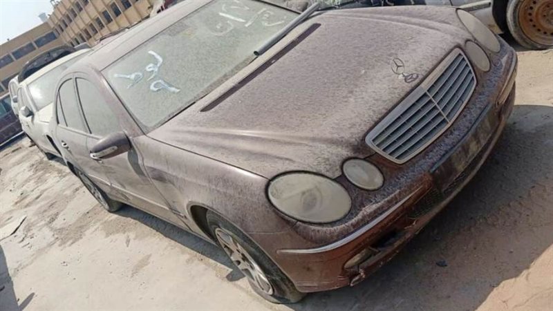 صورة أرشيفية روزا