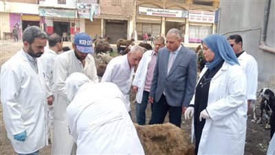 قافلة بيطرية تعالج 5327 طائرا وحيوانا في قرية 