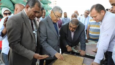 محافظ المنيا: توريد القمح مهمة قومية وتقديم كافة التسهيلات للمزارعين