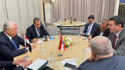 وزيرا الزراعة المصري واللبناني يبحثان ملفات التعاون المشترك