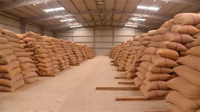 محافظ أسيوط: توريد 41 ألف طن قمح حتى الآن 