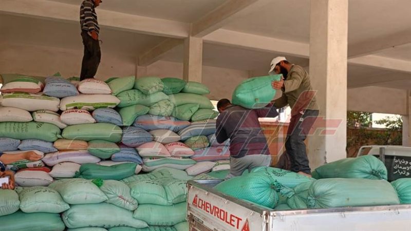 توريد القمح