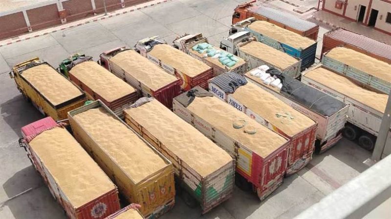 توريد القمح