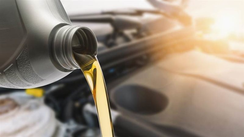 صورة أرشيفية روزا