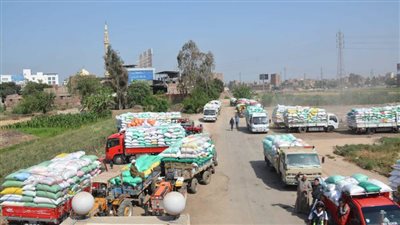 استمرار توريد الأقماح لشون وصوامع وهناجر محافظات الجمهورية