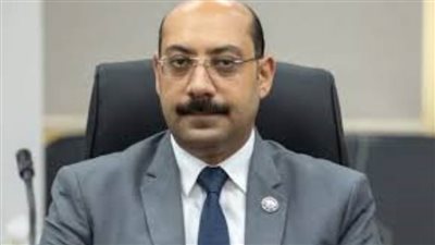 النائب أحمد المصري: توجيهات الرئيس بسرعة إصدار قانون العمل يدفع عملية الإنتاج